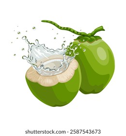 Illustration of fresh green coconut with splashes of coconut water, isolated on white background.