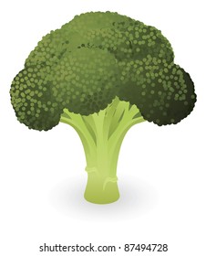 Illustration of a fresh green piece of broccoli