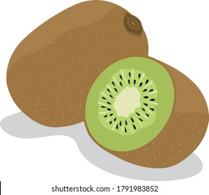 Illustration of a fresh kiwi-fruit of fruits