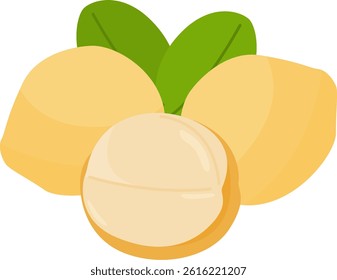 Illustration of Fresh Langsat Fruit