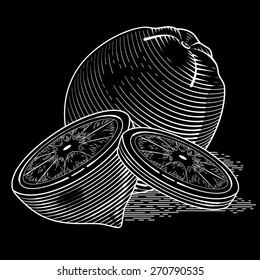 Illustration of fresh lemon with slices. Vector vintage fruit. Stylized drawing hands. Engraving image of food. Isolated lime on chalkboard. Eps 8