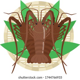 Illustration of fresh lobster ingredients.