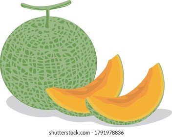 Illustration of a fresh melon of fruits