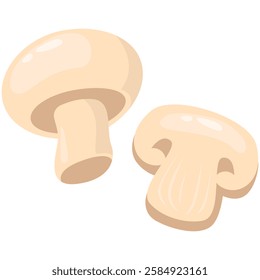 Illustration of Fresh Mushrooms vector