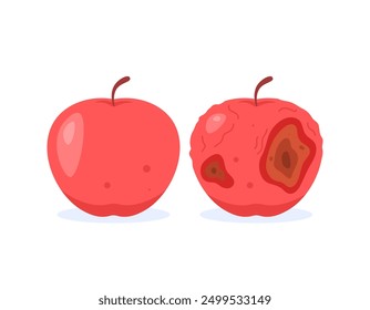 Ilustración de manzana roja fresca y bonita con manzana podrida y dañada. Condición de la comida o la fruta. Cambio, viejo y nuevo. Diseño de estilo plano. Elementos gráficos