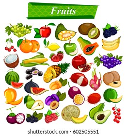 illustration of fresh and nutritious fruit set including apple, orange, grapes, coconut, berry