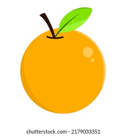 Illustration of Fresh Orange Fruit