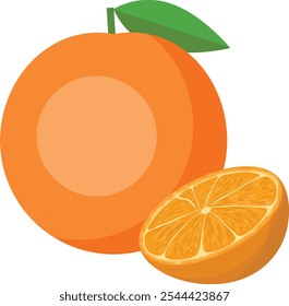 Illustration fresh orange fruit  vector art