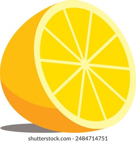 illustration of fresh orange with smooth shadow 