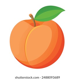 illustration of an fresh peach Isolated