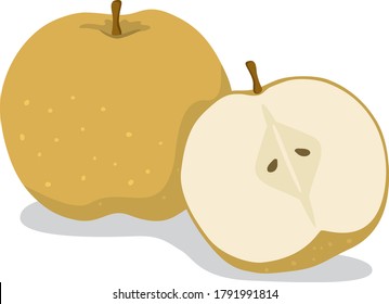 Illustration of fresh pear of fruits