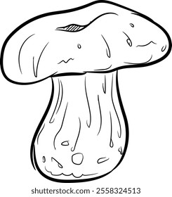 Illustration of Fresh Porcini Mushroom (Boletus Edulis), a Nutritious Wild Mushroom Isolated on a Transparent Background for Culinary and Animal Feed Graphic Use