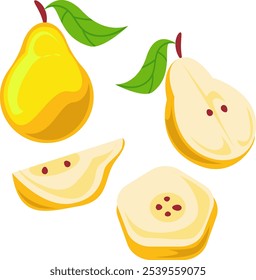 Illustration of Fresh Quince Fruits with Different Cuts