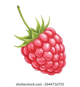 illustration of fresh raspberries, detailed and vibrant. Perfect for food packaging, kitchen decor, menus, recipe books, or organic product branding. High-quality hand-painted clipart.