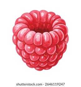 illustration of fresh raspberries, detailed and vibrant. Perfect for food packaging, kitchen decor, menus, recipe books, or organic product branding. High-quality hand-painted clipart.
