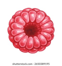 illustration of fresh raspberries, detailed and vibrant. Perfect for food packaging, kitchen decor, menus, recipe books, or organic product branding. High-quality hand-painted clipart.