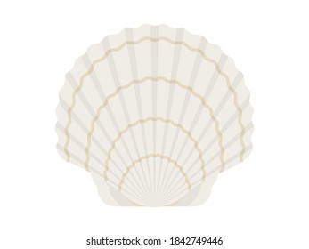 Illustration of fresh raw scallops.