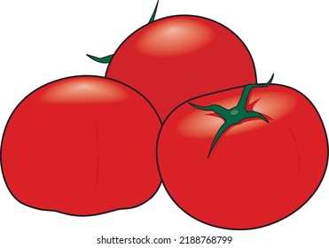 illustration of fresh red tomato