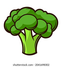 Illustration of fresh ripe broccoli. Autumn harvest of vegetables. Food item for farms, markets and shops.