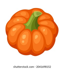 Illustration of fresh ripe pumpkin. Autumn harvest of vegetables. Food item for farms, markets and shops.