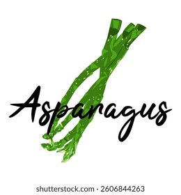 Illustration of fresh vegetables. Asparagus.