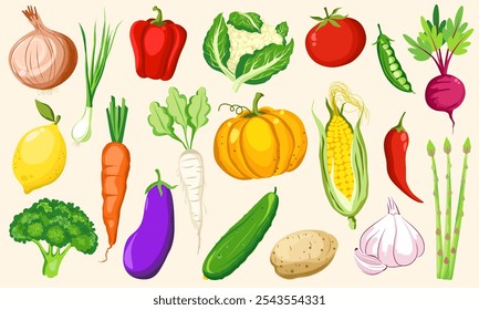 Illustration of fresh vegetables, Collection of colorful hand drawn fresh delicious vegetables, hand- drawn vector vegetables, Organic Food.