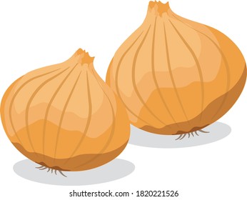 Illustration of fresh vegetables (Onion)