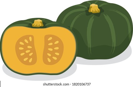 Illustration of fresh vegetables (Pumpkin)