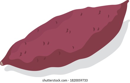 Illustration of fresh vegetables (sweet potato)