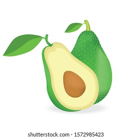 illustration of fresh white avocado pieces on a white background