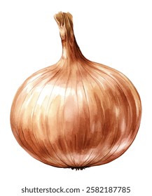 illustration of a fresh, whole onion with a golden-brown skin and a dried stem. Perfect for culinary, gardening, or health-related projects. High-quality, detailed, and vibrant artwork.