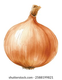 illustration of a fresh, whole onion with a golden-brown skin and a dried stem. Perfect for culinary, gardening, or health-related projects. High-quality, detailed, and vibrant artwork.