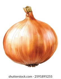 illustration of a fresh, whole onion with a golden-brown skin and a dried stem. Perfect for culinary, gardening, or health-related projects. High-quality, detailed, and vibrant artwork."