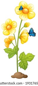 Illustration of the fresh yellow flowers with butterflies on a white background