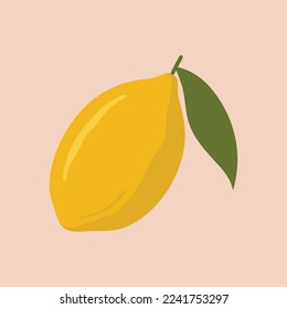 illustration of fresh yellow lemon fruit. a close-up of fresh yellow lemon fruit