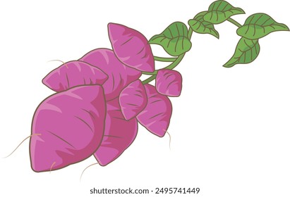 Illustration of freshly harvested sweet potatoes