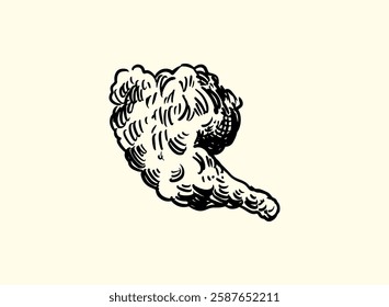 Illustration of an Fried Chicken Handdrawn