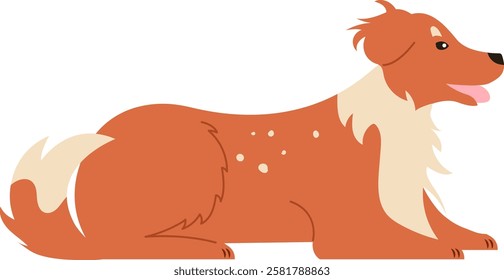 Illustration of a friendly collie dog lying down with a happy expression, showcasing its fluffy fur and distinctive markings. Perfect for pet related designs and animal illustrations