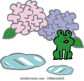 Illustration of a frog, a hydrangea and a puddle 
