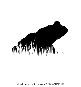 Illustration of frog icon in the grass. Vector silhouette on white background. Symbol of tree-frog.