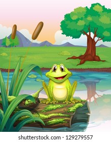 Illustration of a frog at the lake