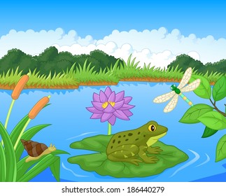 Illustration of a frog in the lake