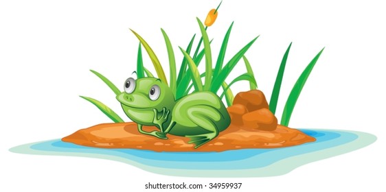 illustration of frog on island