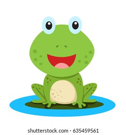 Illustration of frog on white background