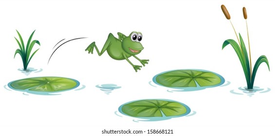 Illustration of a frog at the pond with waterlilies on a white background