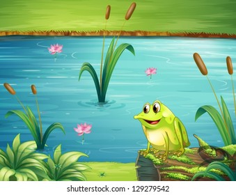 Illustration of a frog at the riverbank