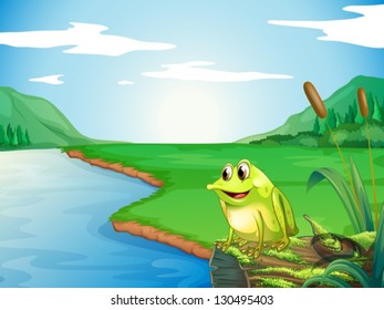 Illustration of a frog at the riverbank