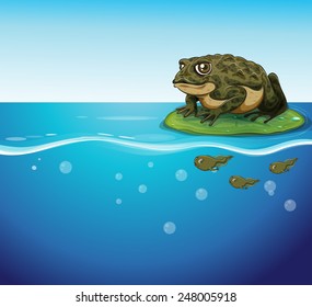 Illustration of a frog and three tadpoles in the water