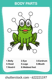 Illustration of frog vocabulary part of body,Write the correct numbers of body parts.vector