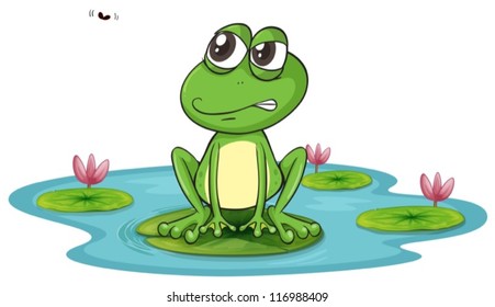 illustration of a frog and a water on a white background